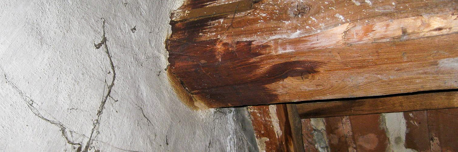 Wohnungskaufberatung