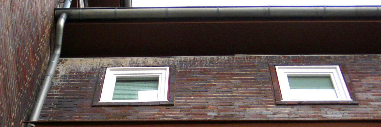 Taubenkot an der Fassade eines Mehrfamilienhauses in Hannover